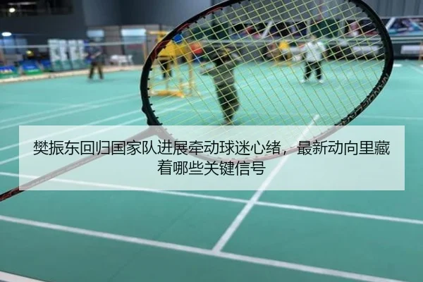樊振东回归国家队进展牵动球迷心绪，最新动向里藏着哪些关键信号（Kaiyuan Games）